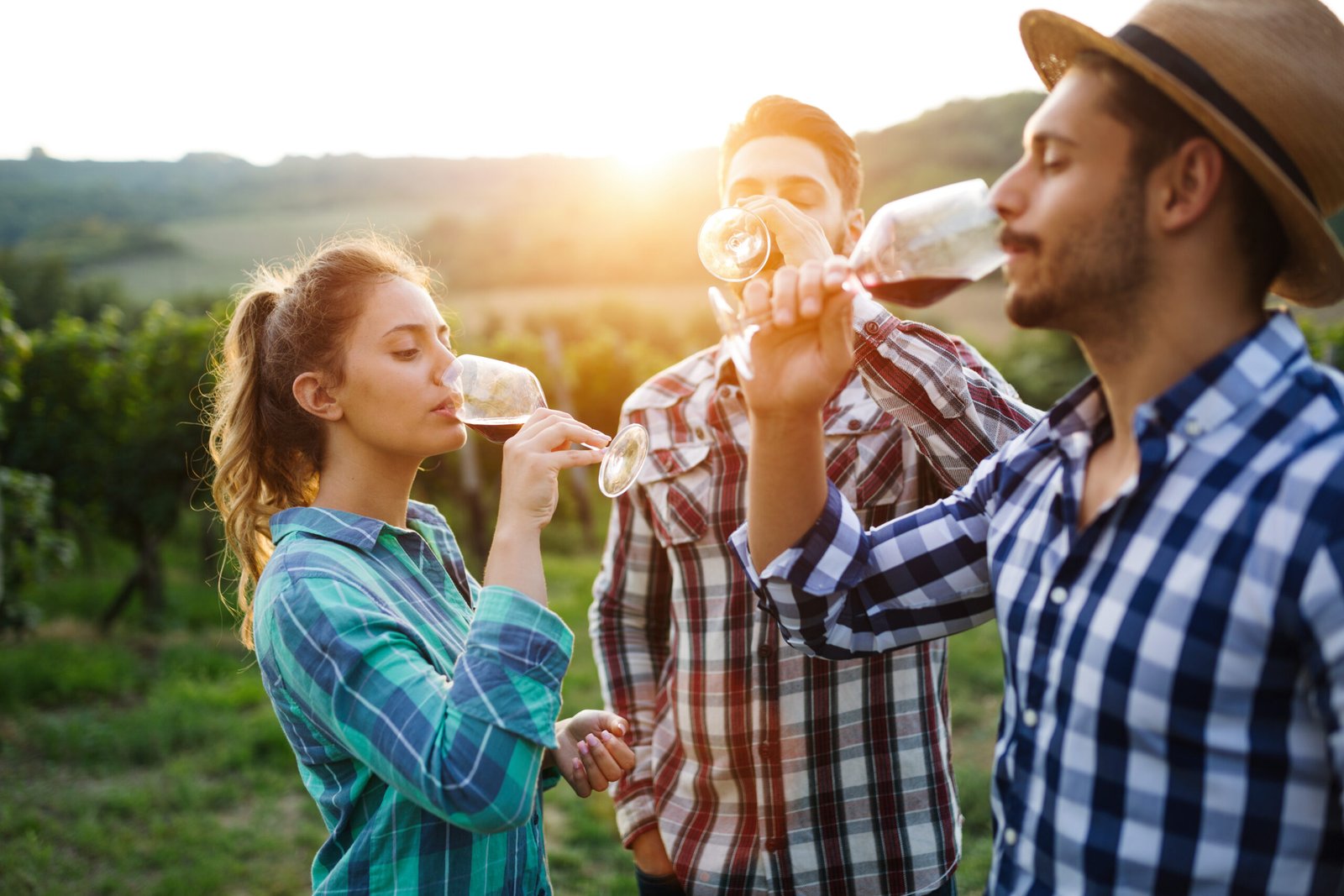 Savoring the Moment: Vineyard Ventures and Fine Wine