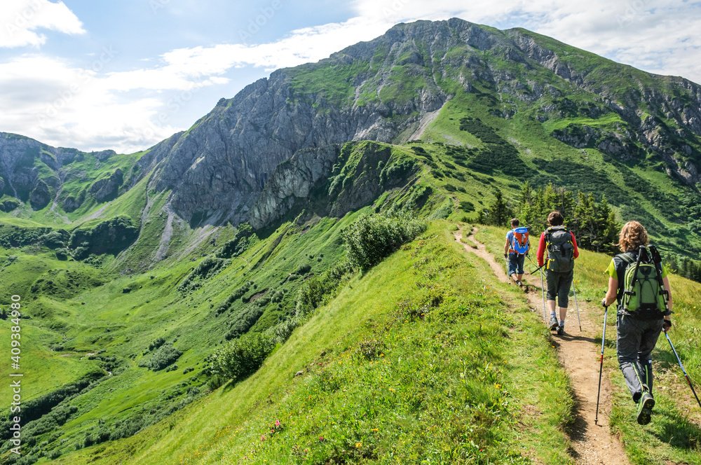 This image captures a group of hikers ascending a verdant mountain trail, a testament to the allure of the great outdoors and the spirit of adventure. The hikers are equipped with backpacks and trekking poles, symbols of their preparedness for the journey ahead. With the majestic mountain providing a stunning backdrop, the scene is a vivid depiction of the bond between humans and nature.
